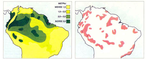Картосхемы среднегодового количества осадков (слева) и ареалов различных видов бабочек (справа) показывают, что изолированные ««островки»», занимаемые отдельными видами, в целом совпадают с «пятнами» наибольшей влажности; часть из них приходится на возвышенности (не показаны). Эта корреляция (впервые отмеченная среди птиц) привела ученых к мысли о том, что изолированные области, занимаемые разными видами, возникли давно, возможно, в последний ледниковый период (70 000 — 10 000 лет назад). Первоначальная гипотеза утверждала, что во время оледенений низменные участки были аридными, а более влажные возвышенности превращались в рефугии (убежища») для различных видов. Эти виды развивались в изоляции и продолжали жить обособленно тогда, когда лес между «убежищами» восстанавливался. Новые данные позволяют предположить, что в этих гипотетических «убежищах» в ледниковом периоде было на самом деле слишком холодно, чтобы там могли существовать дождевые леса; на самом деле леса сохранялись, вероятно, в отдельных частях теплых низменных районов, которые вовсе не становились аридными. Эти новые выводы опровергают теорию рефугий, но согласуются с предположением, что климат в Амазонии испытывал значительные колебания