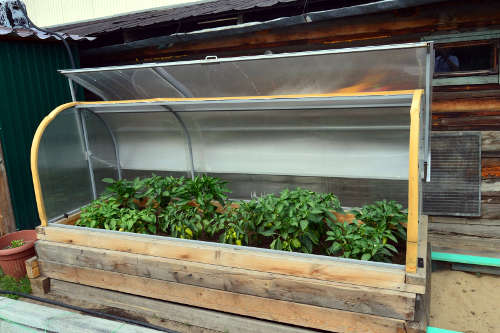 Отличие между парниковыми и тепличными конструкциями